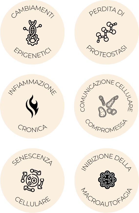 Gli altri sei meccanismi dell'invecchiamento: epigenetica, proteostasi, infiammazione, comunicazione cellulare, senescenza e autofagia